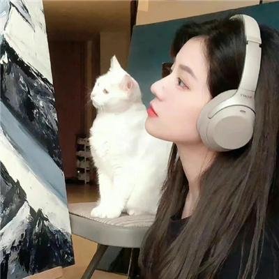 本宫驾到父慈子又孝